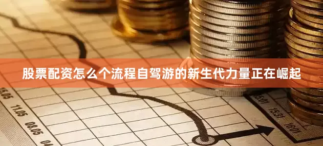 股票配资怎么个流程自驾游的新生代力量正在崛起