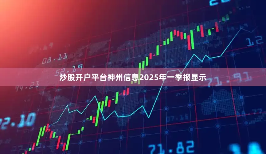 炒股开户平台神州信息2025年一季报显示